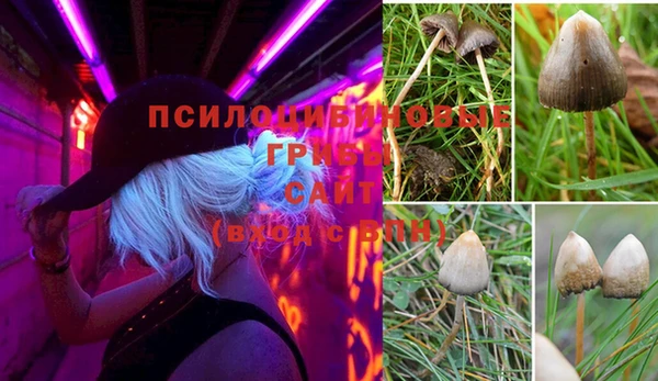 метадон Алексин