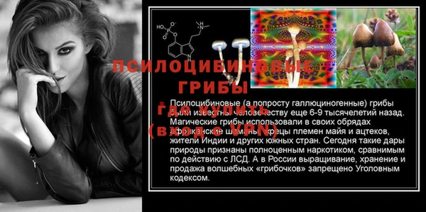 spice Киреевск